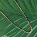 ペンダントチェーン　シルバー3色ロープチェーン40cm/Hawaiianjewely