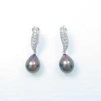 K14WG クロチョウパールイヤリング