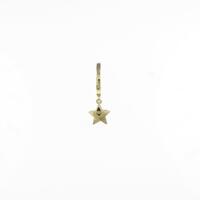 アーカー スター ピアス 片耳