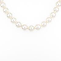 シルバークラスプ アコヤパールネックレス