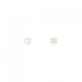 PT ソリティア ダイヤモンド ピアス 0.30CT