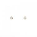 タサキ ダイヤモンド ピアス 0.06CT