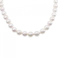 シルバークラスプ アコヤパール ネックレス 9-9.5mm