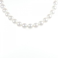 【新品】シルバークラスプ アコヤパール ネックレス 8-8.5mm