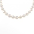 シルバークラスプ アコヤパール ネックレス 8-8.5mm