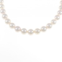 シルバークラスプ アコヤパール ネックレス 8-8.5mm