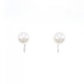 K14WG アコヤパール イヤリング 7.7mm