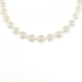 シルバークラスプ アコヤパール ネックレス 7.5-8mm