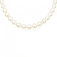 シルバークラスプ アコヤパール ネックレス 7.5-8.5mm