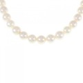 シルバークラスプ アコヤパール ネックレス 7.5-8mm