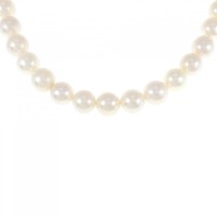 シルバークラスプ アコヤパール ネックレス 7.5-8mm