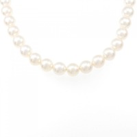 シルバークラスプ アコヤパール ネックレス 7.5-8mm