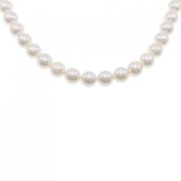シルバークラスプ アコヤパール ネックレス 7-7.5mm
