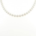 シルバークラスプ アコヤパール ネックレス 6.5-7.0mm