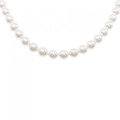 シルバークラスプ アコヤパール ネックレス 7.5-8mm