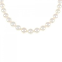 シルバークラスプ アコヤパール ネックレス 7.5-8mm