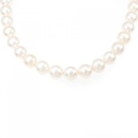 シルバークラスプ アコヤパール ネックレス 9.5-10mm