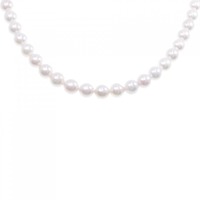 シルバークラスプ アコヤパール ネックレス 6.5-7mm