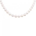 シルバークラスプ アコヤパール ネックレス 7.5-8mm