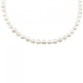 シルバークラスプ アコヤパール ネックレス 6-6.5mm
