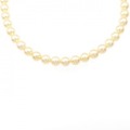 シルバークラスプ アコヤパール ネックレス 7-7.5mm