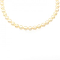 シルバークラスプ アコヤパール ネックレス 7-7.5mm