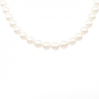 シルバークラスプ アコヤパール ネックレス 6.5-7mm