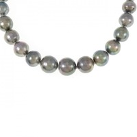 シルバークラスプ 黒蝶パール ネックレス 8-11mm