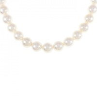 シルバークラスプ アコヤパール ネックレス 7.5-8mm