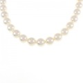 シルバークラスプ アコヤパール ネックレス 8-8.5mm