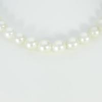 シルバークラスプ シロチョウパールネックレス