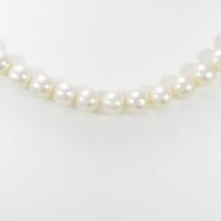 シルバークラスプ アコヤパールネックレス10％引き