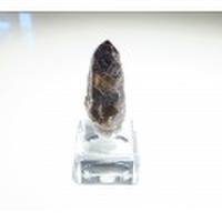 AB1821　【限定入荷】　マラウイ共和国　ゾンバ産　スモーキークォーツ　４２．５ｇ