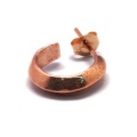 DELPHI（デルフィー）hoop pierce dpi2 PG