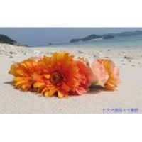 【オレンジイエロー花冠ハクレイ】ガーベラ　高級造花　美人綺麗花冠　オールドローズ　アーティフィシャルフラワー　ドレス花冠　ブライダル花冠　ビーチウエディング花冠【hana80】【ROMANTIC】【ロマンティック】。