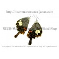 【ネクロマンス NECROMANCE】リアルバタフライウィングピアス Real Butterfly Wing Pierce ＜モンキアゲハ 後翅＞ 蝶々 羽
