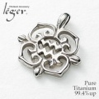 【送料無料】 純チタンペンダントトップ　星座(みずがめ座) T125