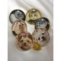 あなたの大切なペットのオリジナルピンズを、１つから作ります。PE-1