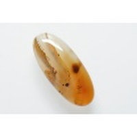 デンドリティックアゲート【12】天然石ルース・カボション　（39.5×17mm）