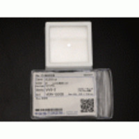 新着【ダイヤモンドルース】ダイヤモンド0.318ｃｔ F VVS-2 VERY GOOD NONE 24808-0