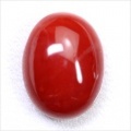 台湾産珊瑚(サンゴ)　16.39ct【日替わりルース】【12月17日22時販売開始】