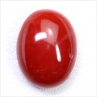 台湾産珊瑚(サンゴ)　16.39ct【日替わりルース】【12月17日22時販売開始】