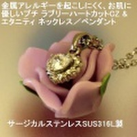 大人仕様でシニア世代にもお勧めのアクセサリー！サージカルステンレス ラブリーハートカットCZ & エタニティ ネックレス／ペンダント