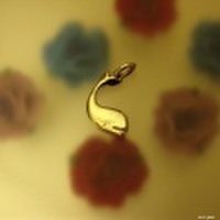 大人仕様でシニア世代にもお勧めのアクセサリー！シルバー925ホエールCペンダントトップ