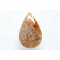 フォッシルコーラル（ペトリファイドコーラル）【27】天然石ルース・カボション　（30×19mm）