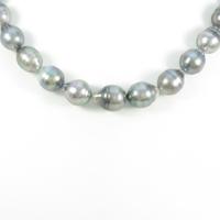 ペルリータ・ミキモト クロチョウパールネックレス