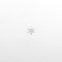 プラチナダイヤモンドピアス 0．328ct・F・SI2・VG 片耳10％引き