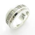 ティファニー アトラスチタン リング