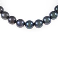 シルバー／K14WG クロチョウパールネックレス・イヤリング