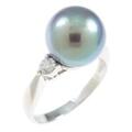 PT アコヤパールリング